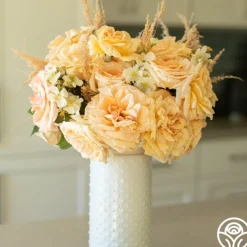 Apricots n' Cream™