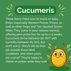 Beneficial Insect Subscription