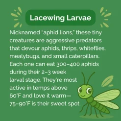 Beneficial Insect Subscription