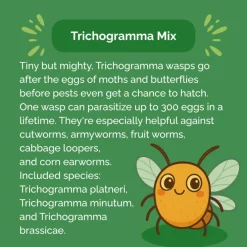 Beneficial Insect Subscription