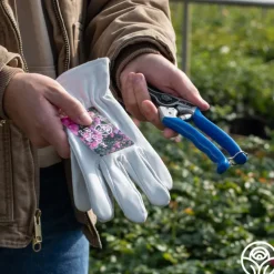 Bloom & Prune Gift Set