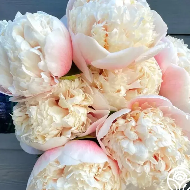 Colonel Owen Cousins