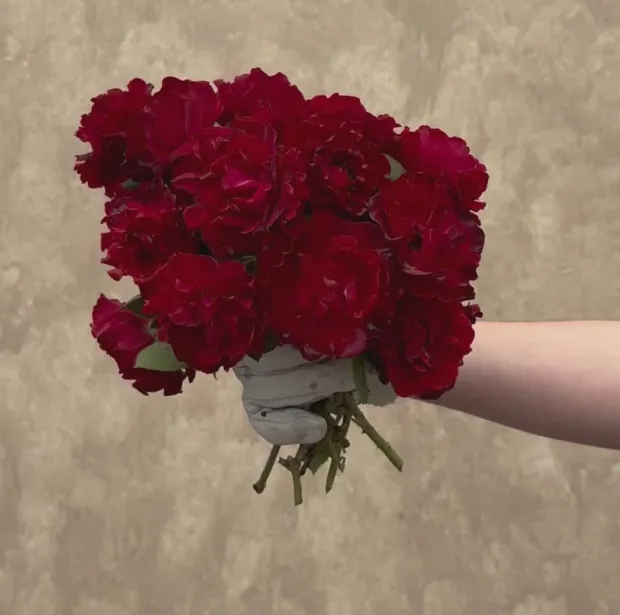 Dancing in the Dark™