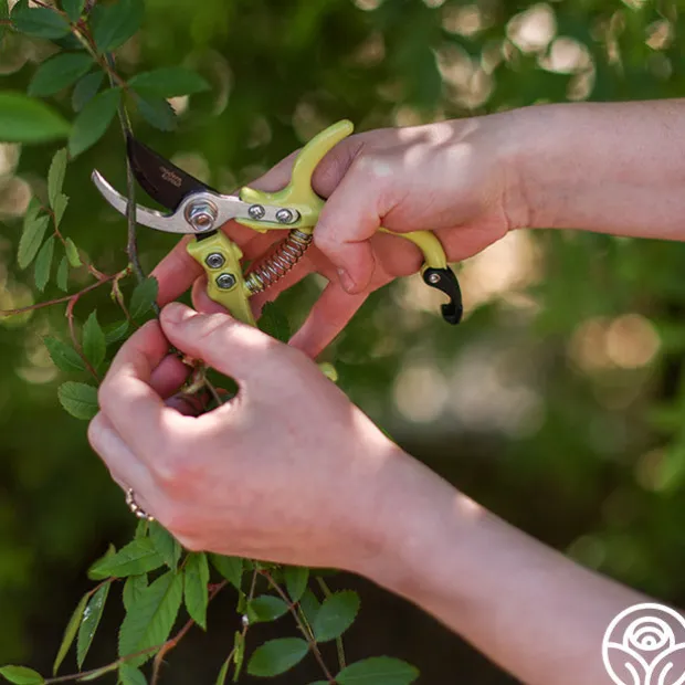 Flora Bypass Pruners