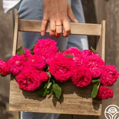 Général Washington