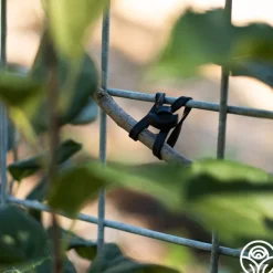 LoopLock Garden Ties