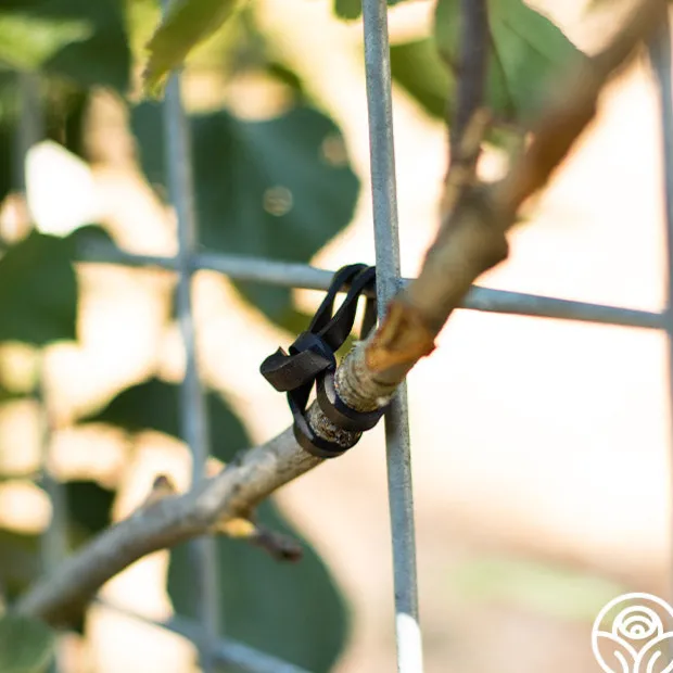 LoopLock Garden Ties