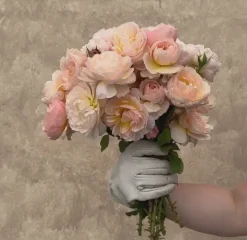 Moonlight in Paris™