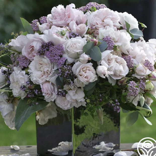 Parfuma® First Crush™