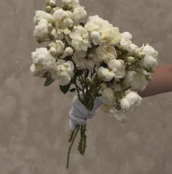 Perpetually Yours™