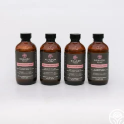 Pure Protect by Heirloom Roses