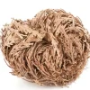 Rose of Jericho