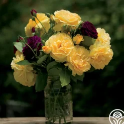 Spring Color Bouquet Collection