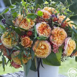 Sunbelt® Crazy Love™