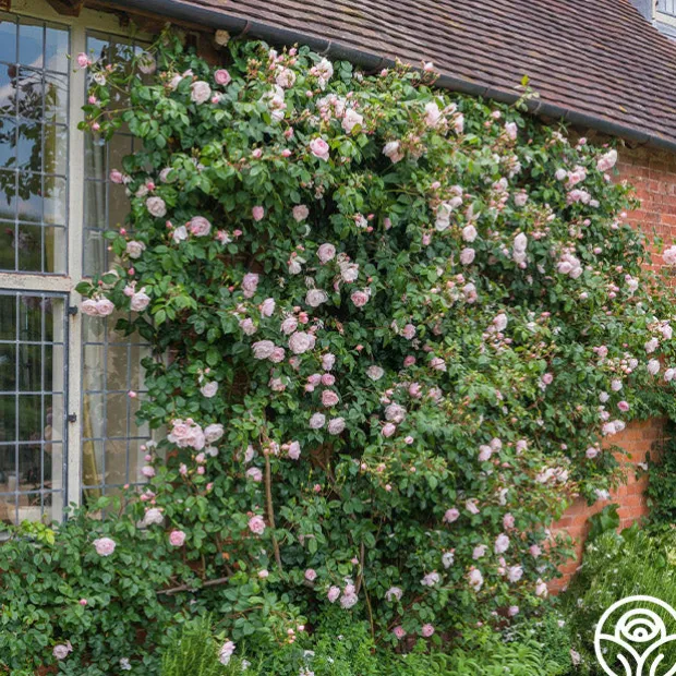 The Generous Gardener™