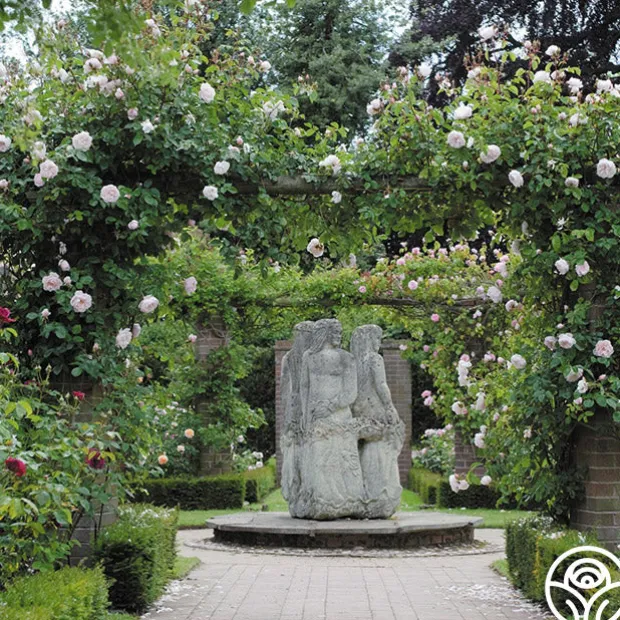 The Generous Gardener™