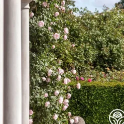 The Generous Gardener™