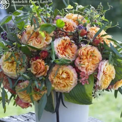 Vibrant Bouquet Collection