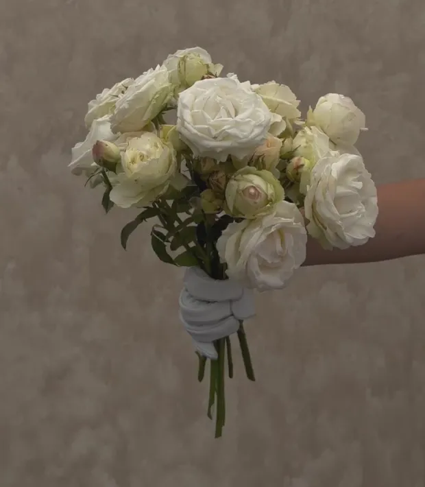 White Eden Climber®